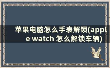 苹果电脑怎么手表解锁(apple watch 怎么解锁车辆)